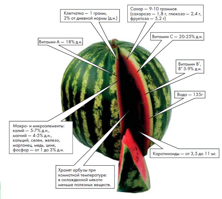 Чем полезен Арбуз